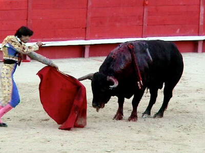 400-bullfight