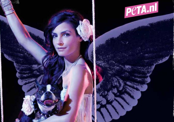 Famke Janssen is een ‘Engel voor Dieren’ in nieuwe sexy reclame