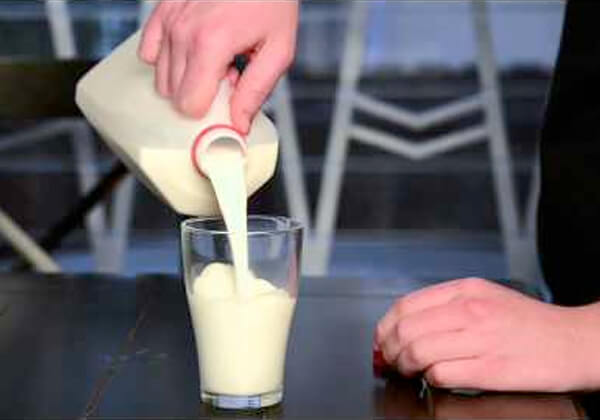 Top 10 redenen om geen dierlijke producten te eten