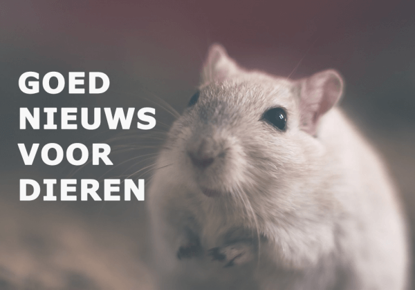 Nederland neemt een GIGANTISCHE stap voor dierenrechten!  