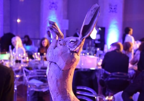 PETA International Science Consortium wint prijs voor het reduceren van dierengebruik in chemische experimenten