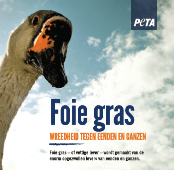 FlyerFoieGras