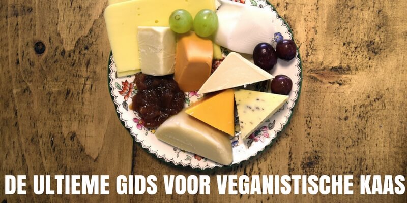 10 in Nederland verkrijgbare veganistische kazen die je moet proberen