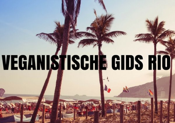 De ultieme veganistische gids voor Rio de Janeiro
