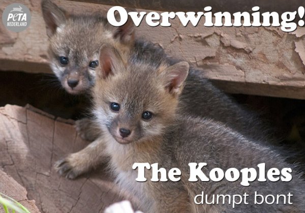 OVERWINNING: The Kooples dumpt bont!