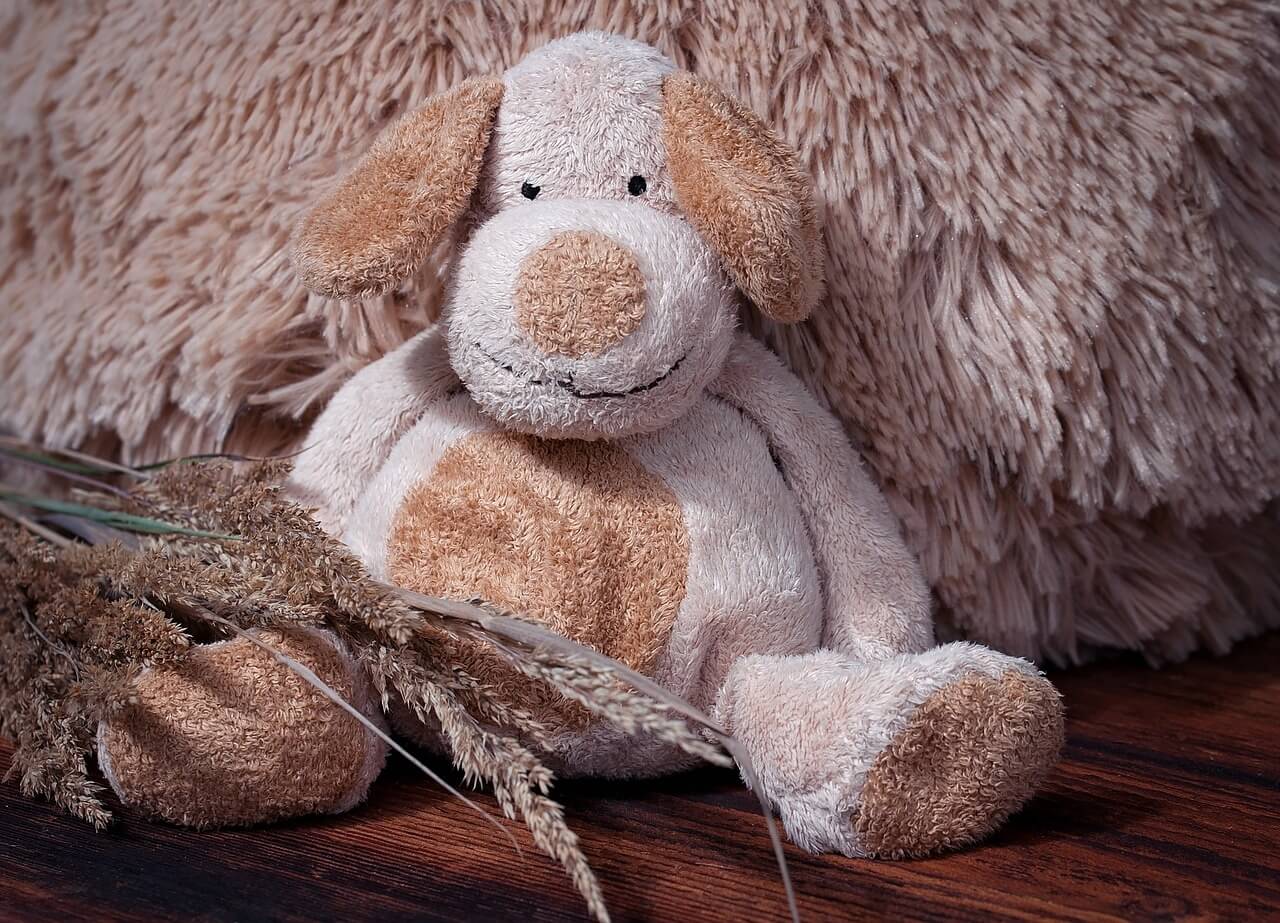 knuffels dieren hond peta