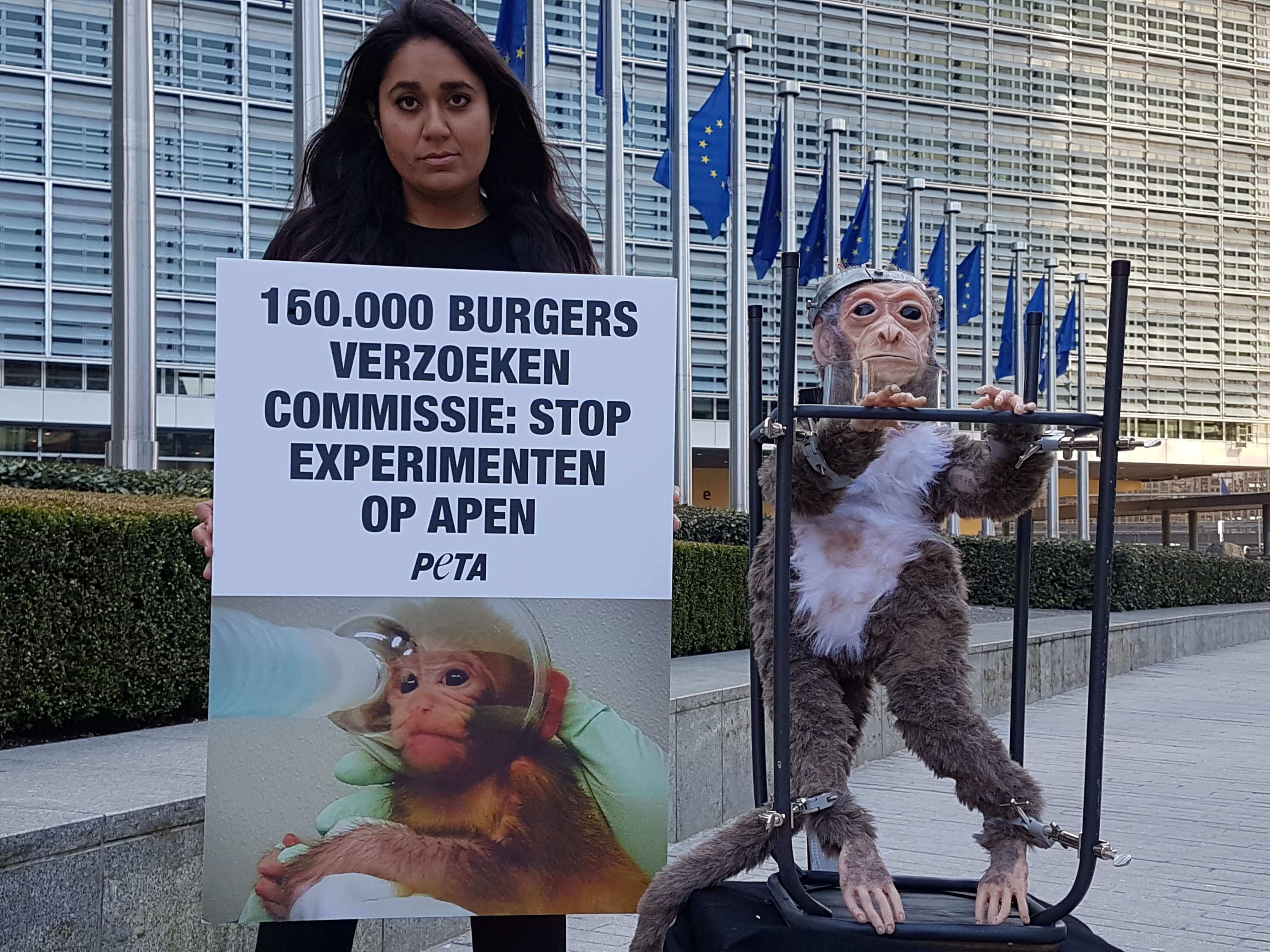 PETA-activisten nemen een gewonde, gemartelde “aap” mee naar de Europese Commissie