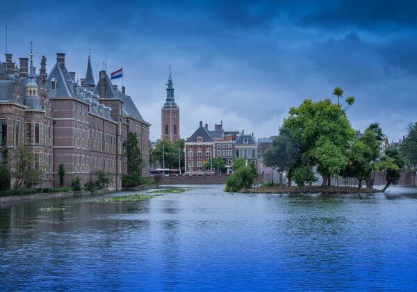 Veganistisch eten in Den Haag: Dit zijn PETA’s hotspots