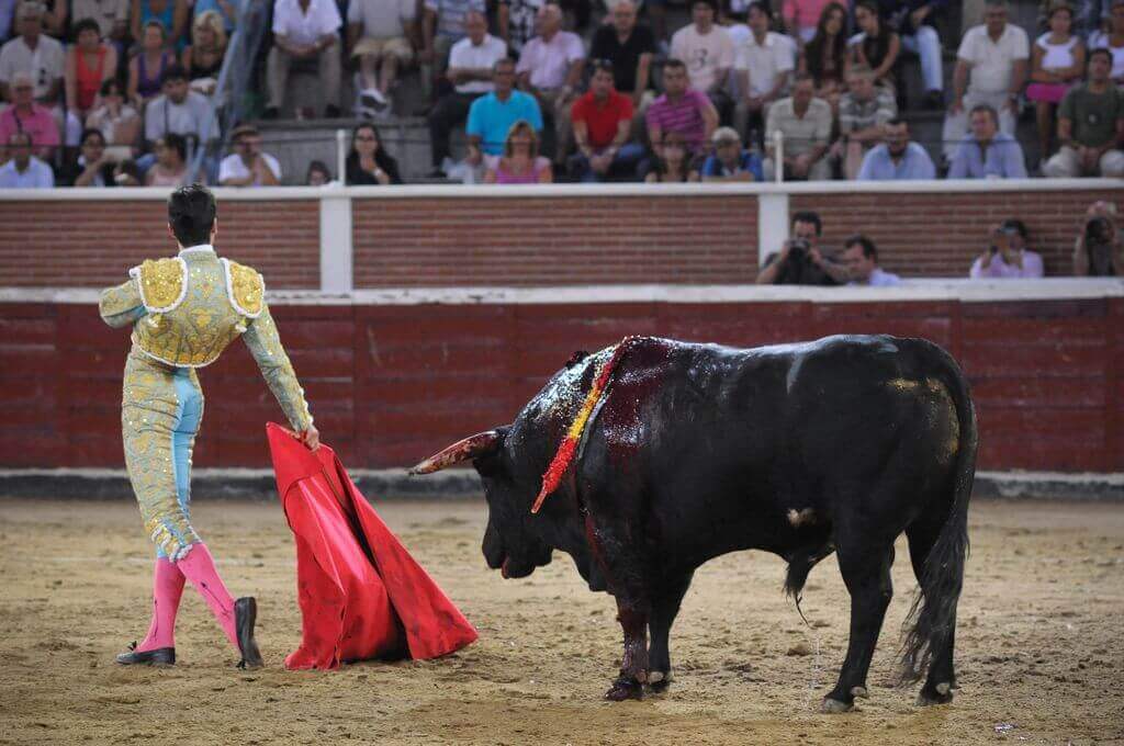 De dood van Spaanse matador is verder bewijs dat stierenvechten moeten worden verbannen