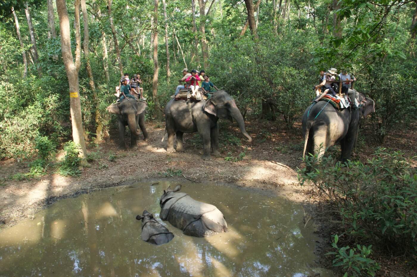 Filmmaker en fotograaf Jack Harries onthult de toeristische valkuilen die dieren mishandelen
