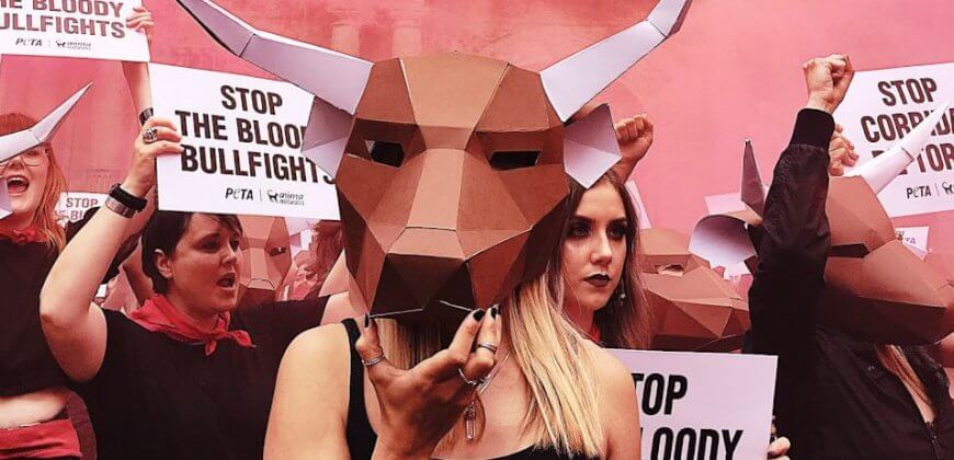 Pamplona 2018: Activisten voeren opvallend protest voor aanvang van het stierenrennen