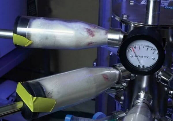 Deze 3D-modellen van menselijke weefsels gaan dieren in laboratoria redden