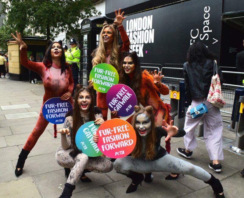 ‘Katten’-demonstranten vieren bontvrije catwalks tijdens de London Fashion Week