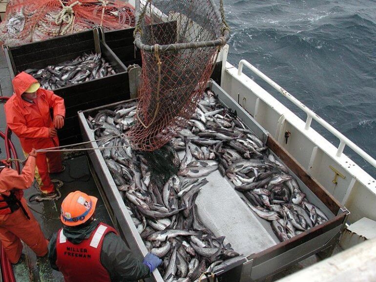 Doodsoorzaak nummer één wereldwijd: de visvangst