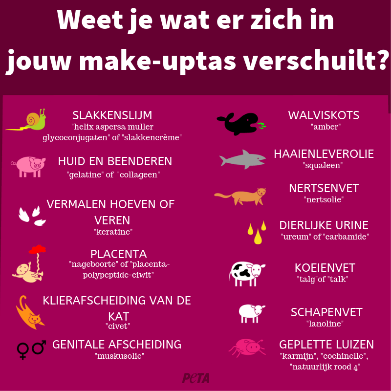 waar is lipgloss van gemaakt