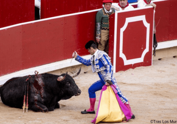 BEKIJK: Activisten stormen de arena binnen om tegen het barbaarse stierengevecht te protesteren
