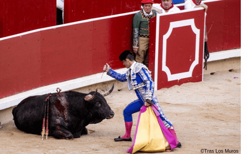 Stier wordt doodgestoken in Pamplona