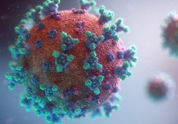 Coronavirus-vaccin: waarom proeven met mensen, niet dierproeven, de juiste aanpak zijn