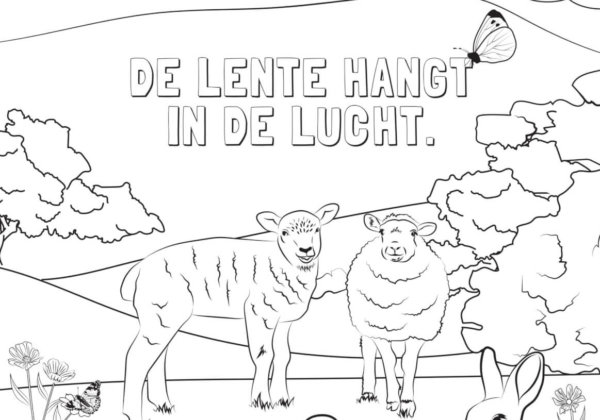 Word creatief met deze prachtige dierenrechtenkleurplaten