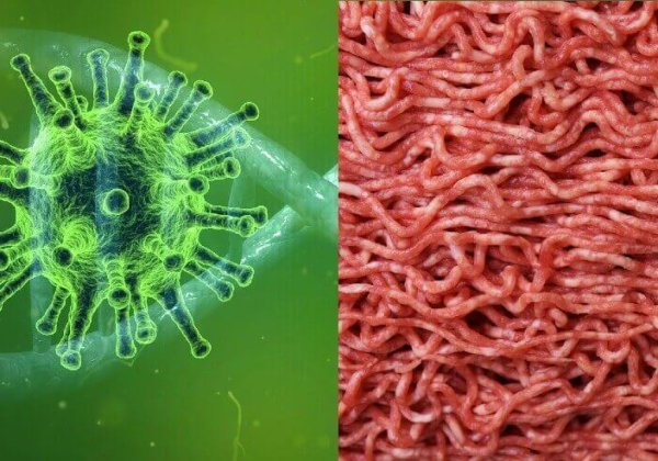 Coronavirus en vlees: mythes en feiten