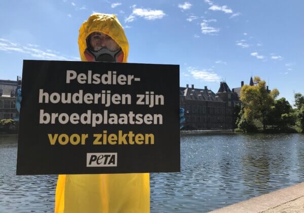 PETA-aanhangers gekleed in beschermende pakken eisen de sluiting van Nederlandse bontfokkerijen