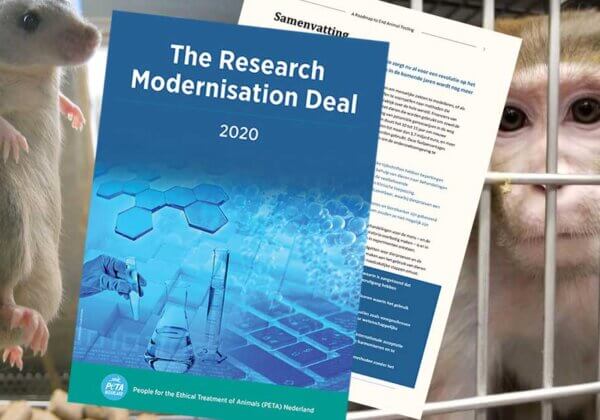 The Research Modernisation Deal