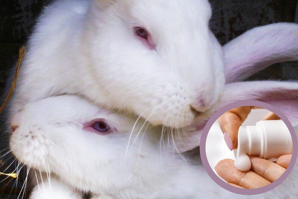 5.500 ratten, konijnen en vissen ter dood veroordeeld voor zonnebrandcrème