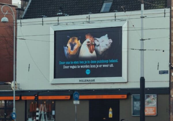 Dieren op PETA-billboard: ‘Door ons te eten ben je in deze puinhoop beland’