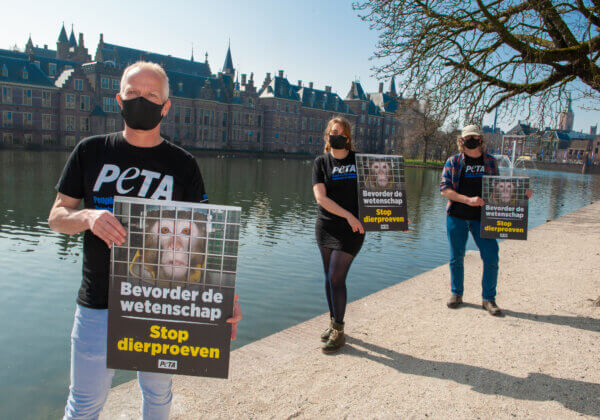 Eerste dag aan het bewind: hoe PETA het nieuwe parlement verwelkomde met een protest tegen dierproeven