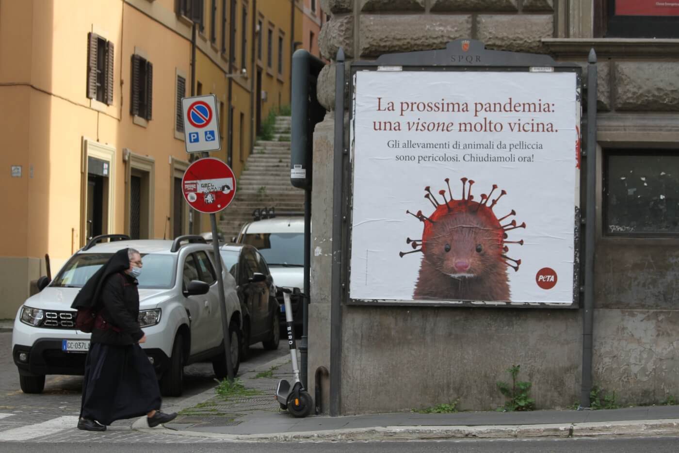 Geweldig nieuws voor nertsen: Italië verbied nertsenfokkerij