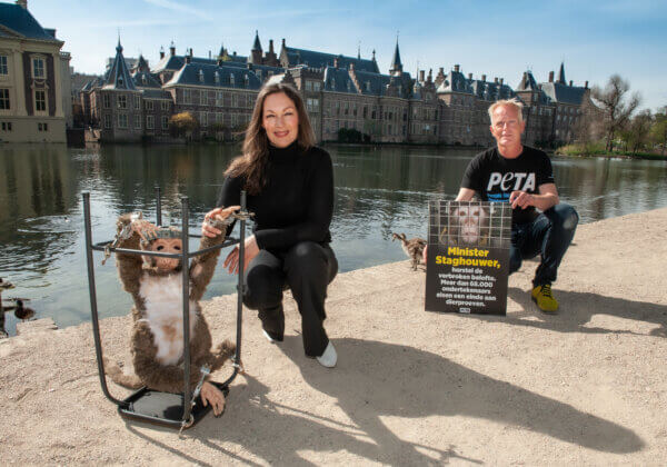 Miryanna van Reeden sluit zich aan bij de oproep van PETA aan de regering om de verbroken belofte om dierproeven te beëindigen te herstellen