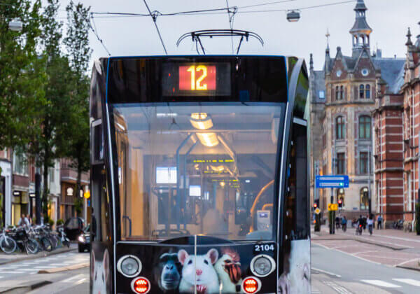 Amsterdamse trams krijgen diervriendelijke nieuwe look met ‘Stop speciësisme’ PETA-wikkel