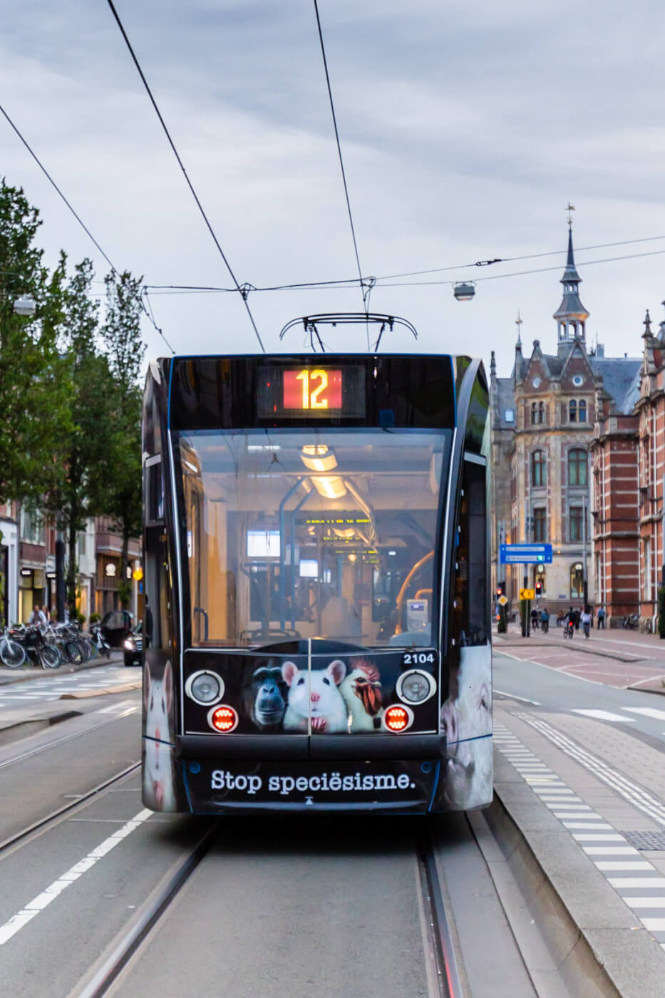 Amsterdamse trams krijgen diervriendelijke nieuwe look met ‘Stop speciësisme’ PETA-wikkel