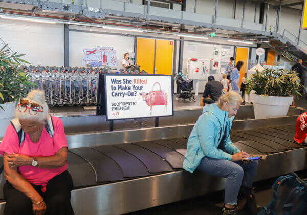 Wreedheid gaat niet op: anti-leer boodschap van PETA landt op Rotterdam The Hague Airport