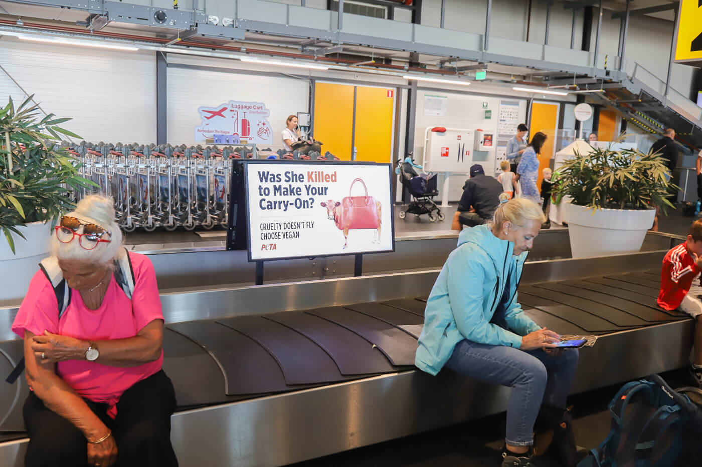 Wreedheid gaat niet op: anti-leer boodschap van PETA landt op Rotterdam The Hague Airport