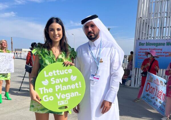 COP27’s vleesrijke menu leidt tot roep om vegan te eten van ‘Sla-dame’