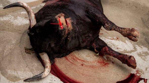 Wat er gebeurt tijdens de stierenrennen in Pamplona