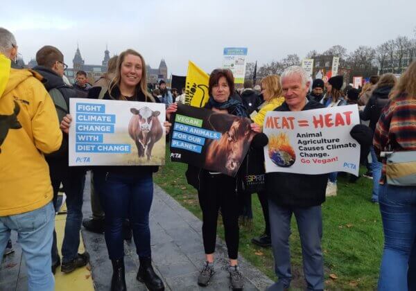 PETA loopt mee in de klimaatmars tegen veeteelt in Amsterdam