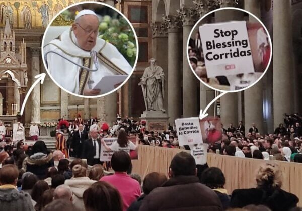 PETA dringt er bij de Paus op aan de schandelijke banden van de Katholieke Kerk met het stierenvechten te verbreken.