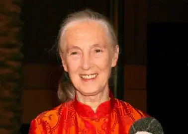 Jane Goodall herdefinieerde dieren als iemand, niet als iets.