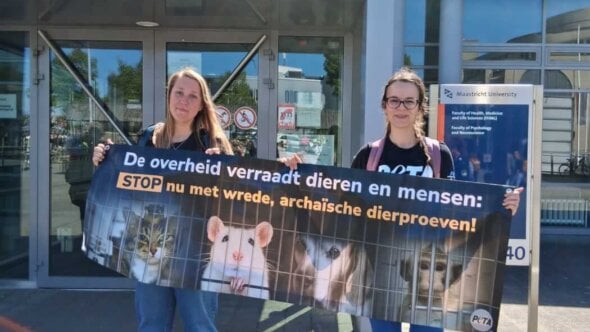PETA roept Universiteit Maastricht op om dierproeven te beëindigen